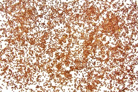 Flax seeds use a background of texture super food Stock Photos