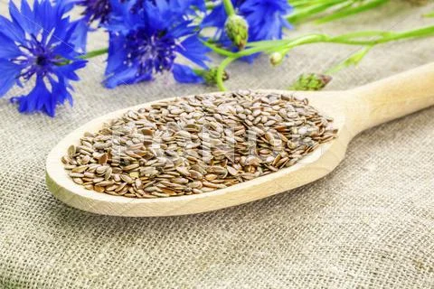 Flax Seeds On Wooden Spoon