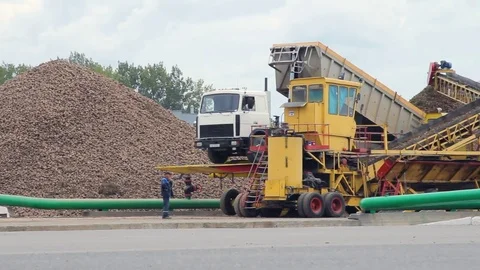 Flax unloading process at factory. Unloading raw materials with cargo truck Stock Footage 78139227