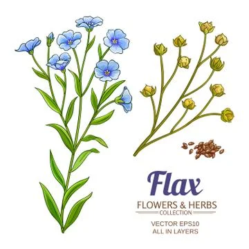 Flax vector set Stock-Illustration
