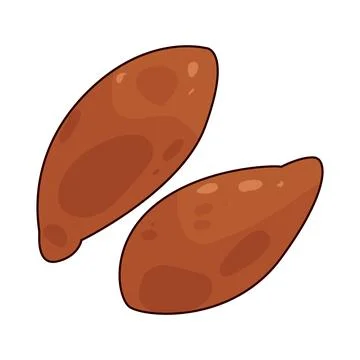 Flaxseed illustration イラスト素材