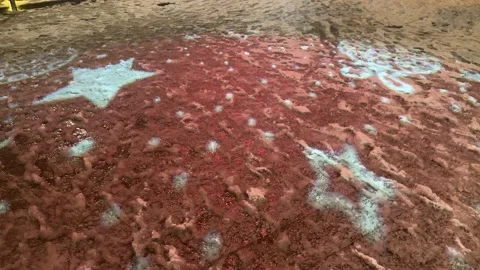 Flaying stars Stock Footage 230016062