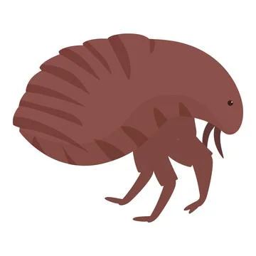 Flea bug insect pest crawling parasitic bloodsucker Illustration