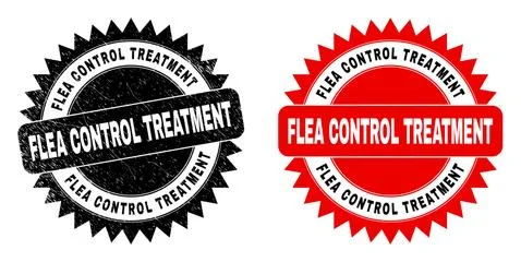 FLEA CONTROL TREATMENT Black Rosette Watermark with Distress Surface Illustrazione stock