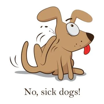 Flea dog. Scratching Bugs. Vector illustration on white background. Life. bit Stock Illustration