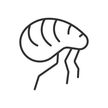 Flea, icon in line design. flea, insect, parasite, small, pest, animal, bug on Stock Illustration