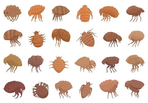 Flea icons set cartoon vector. Dog nature Stock Illustration