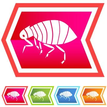Flea Stock Illustration