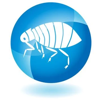 Flea Stock Illustration