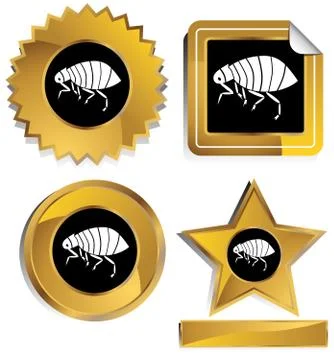 Flea Stock Illustration