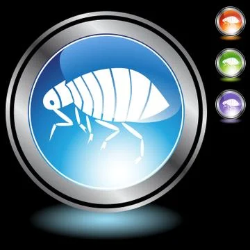 Flea Stock Illustration