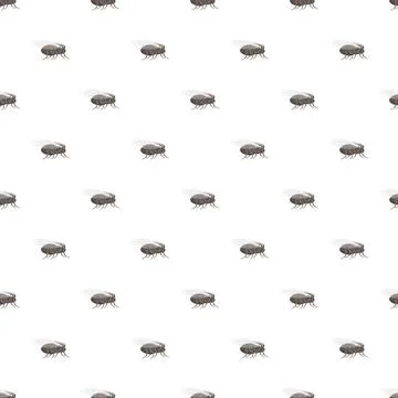 Flea insect pattern background showing pests infestation Stock Illustration