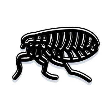 Flea insect pest black and white illustration isolated Stock Illustration