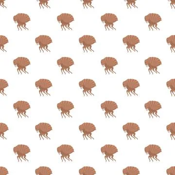 Flea insect pest seamless pattern background vector illustration Illustrazione stock