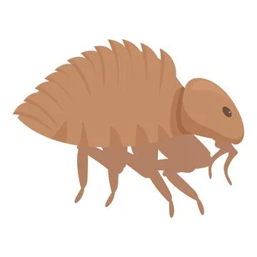 Flea insect pest walking spreading disease carrying virus 스톡 일러스트