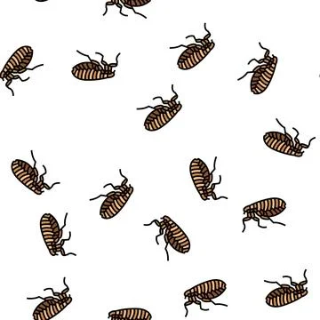 Flea insect vector seamless pattern Stock Illustration