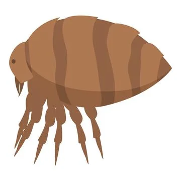 Flea insect walking with its six legs 스톡 일러스트