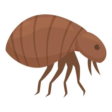 Flea insect walking spreading disease through bite Illustrazione stock