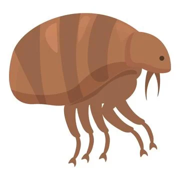 Flea insect walking spreading disease through bite Illustrazione stock