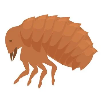 Flea insect walking spreading disease through bite Stock Illustration