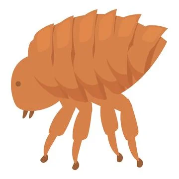 Flea insect walking spreading disease through bite Illustrazione stock
