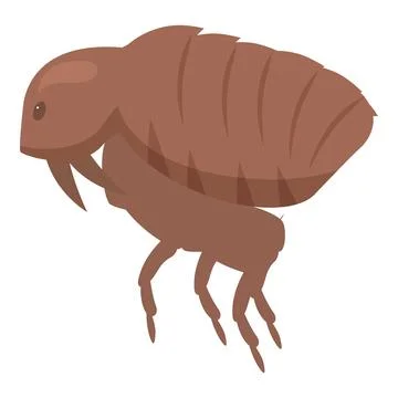 Flea jumping spreading disease biting skin parasitic insect Illustration