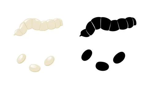 Flea Larvae and Eggs in Color and Black and White Variations Stock Illustration