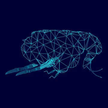 Flea in low poly triangulation triangulated polygonal electric cyan blue vi.. Stock Illustration