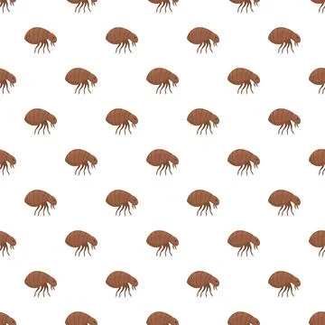 Flea pattern illustrating pest infestation and pet health issues Stock Illustration