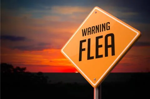 Flea on Warning Road Sign Stock Illustration