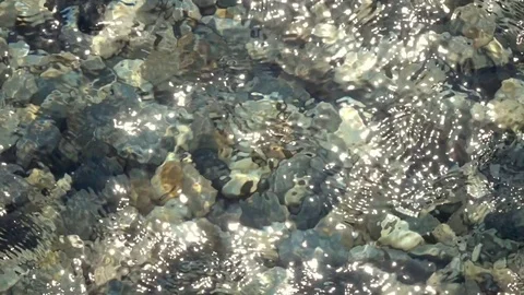 Flecks of sunlight on the ripple water surface. Slow motion Vídeos de archivo 75895634