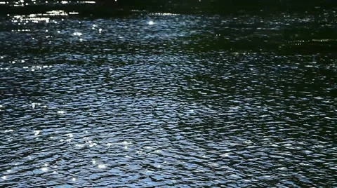 Flecks of sunlight sparkle in fast moving water current. 스톡 동영상 53428700