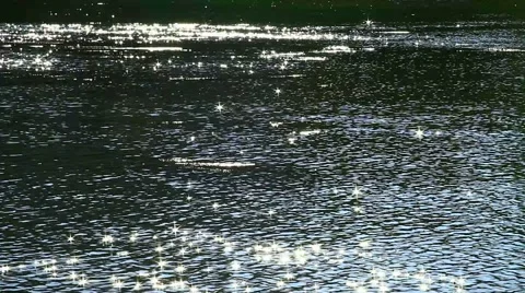 Flecks of sunlight sparkle in fast moving water current. 스톡 동영상 53430801