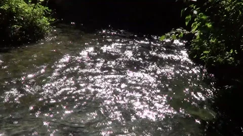 Flecks of sunlight on the water Stock-Footage 53899215