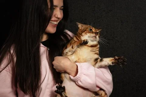 Fleeing cat Stock Photos