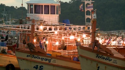 Fleet of boats docked, with strings of lights Stock Footage 120026996