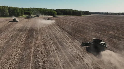 Fleet of Combine Harvesters Working Together in Large Agricultural Field. Stock Footage 346798213