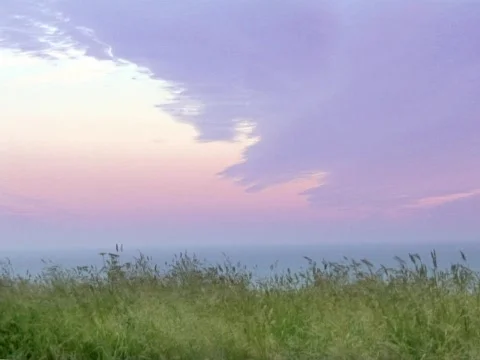 Fleet Grass Stock Footage 489851