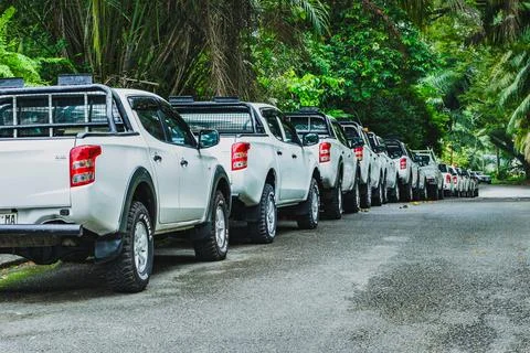 Fleet of white 4x4 double cabin pickup trucks parked on road Фото