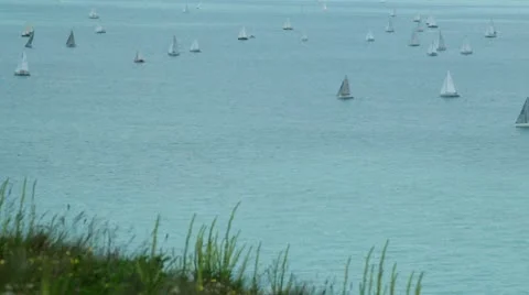 Fleet of yachts seen from grassy cliffs Vídeo Stock 10731511