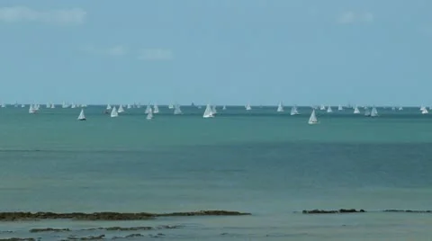 Fleet of yachts seen from shore Vídeo Stock 10731477