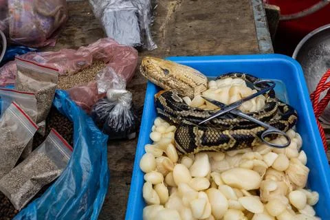 Fleisch,markt,python,märkte,schlange,schlangen ** meat,market,python,meats.. Foto stock