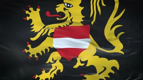 Flemish Brabant flag waving in the wind with highly detailed fabric texture 動画素材 134903217