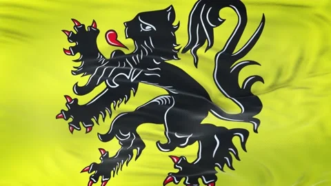 Flemish flag waving in the wind with highly detailed fabric texture 動画素材 134903220