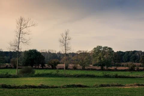 Flemish landscape Stock Photos