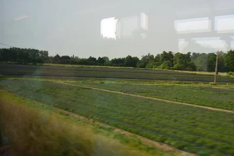 Flemish landscape seen from inside a train in motion Stock Photos