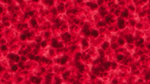 Flesh Stock Footage 160769540