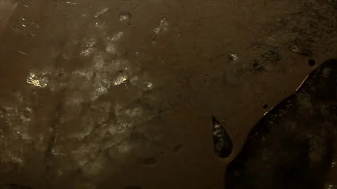 FLESH Stock Footage 299598139