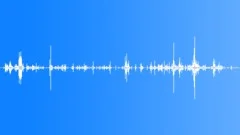 Flesh Intestines Texture 01Sound Effect