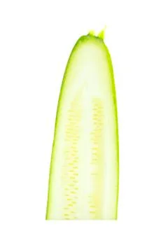 Flesh zucchini vegetable half slice Stock Photos